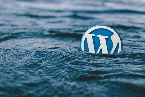 WordPress logo floating in dark water, partially submerged